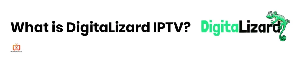 What is Digitalizard IPTV